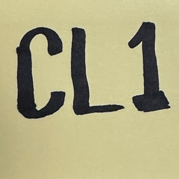 INGEAR Bikini. Royal Purple. Silver Tone Rings in Top and Bottoms. Size Large - Picture 7 of 7